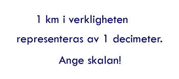 En kilometer i verkligheten representeras av en decimeter. Ange skalan! 